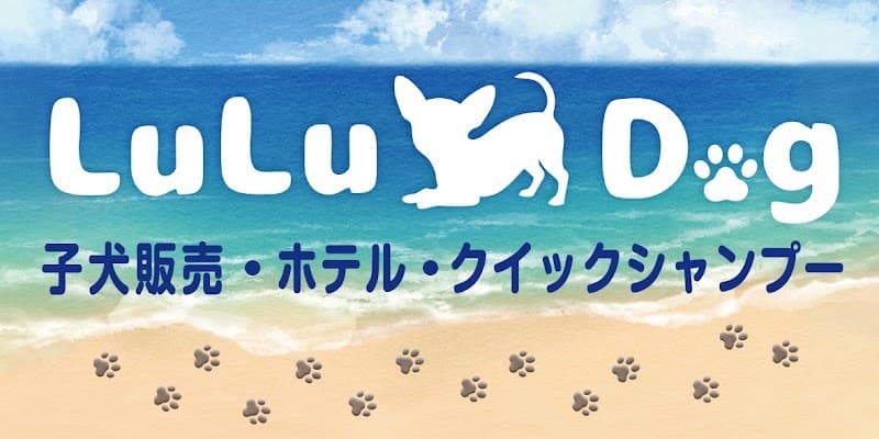 Lu Lu Dogの写真