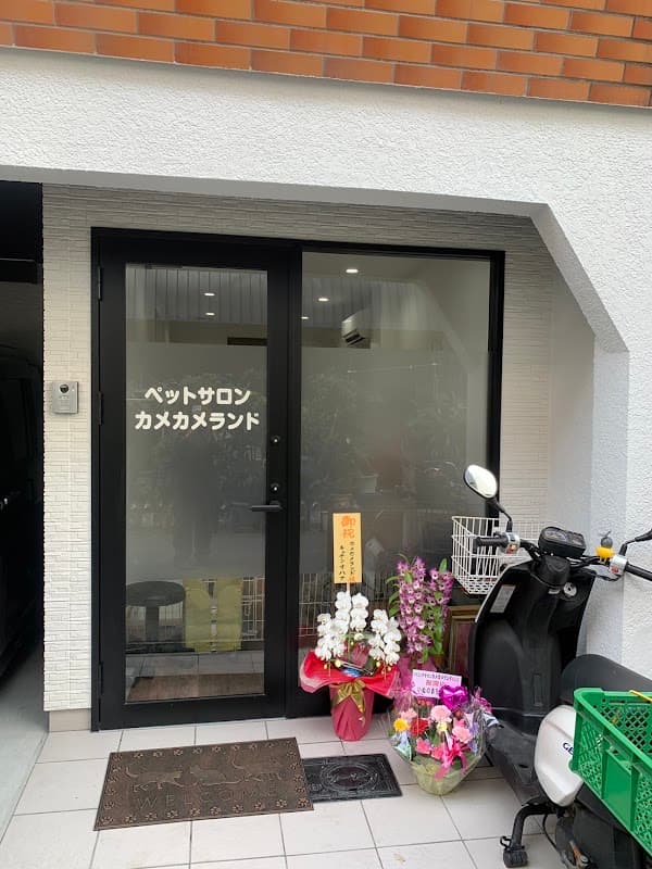 カメカメランドの写真