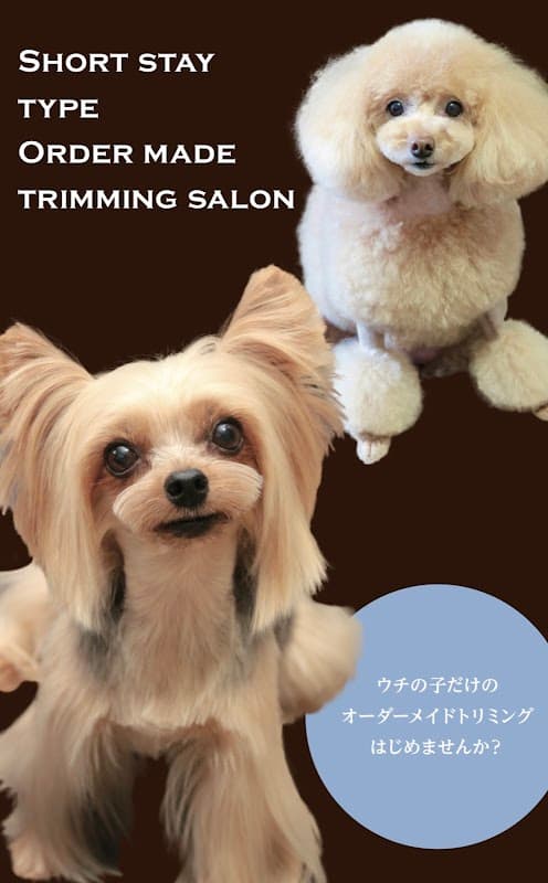 Paris dog designの写真1