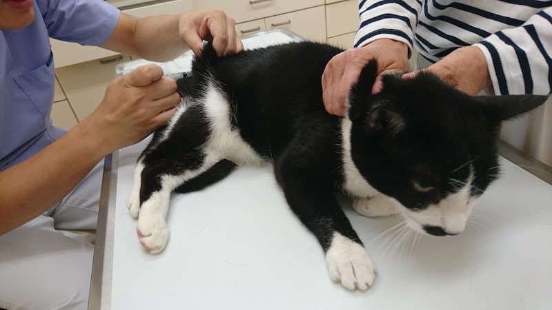 たかお動物病院の写真