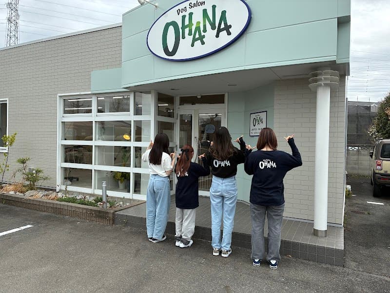 Dog salon OHANA 伊勢崎店 (ドッグサロン オハナ 伊勢崎店)の写真