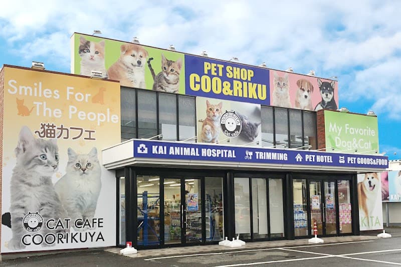 ペットショップCoo&RIKU 秋田店の写真