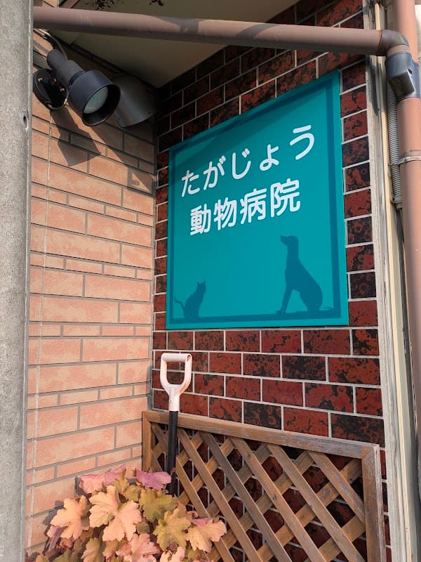 たがじょう動物病院の写真