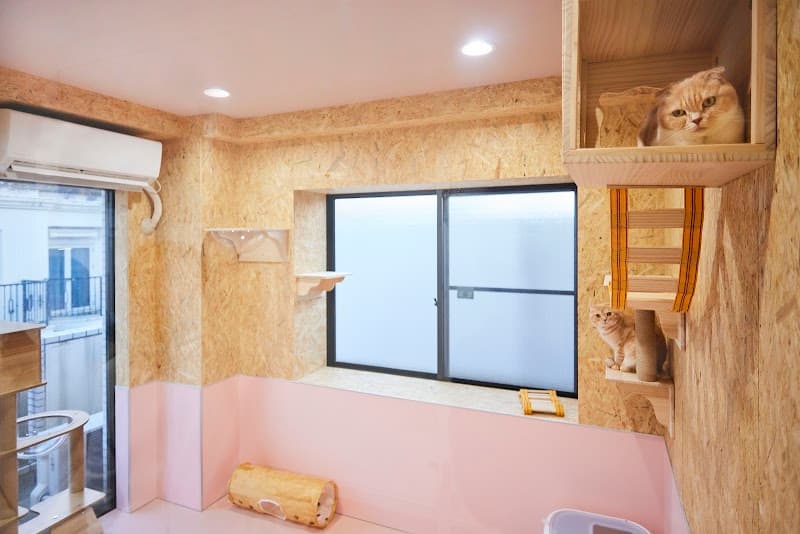 キャットサロン One care for Cat(ワンケアキャット)南麻布の写真3