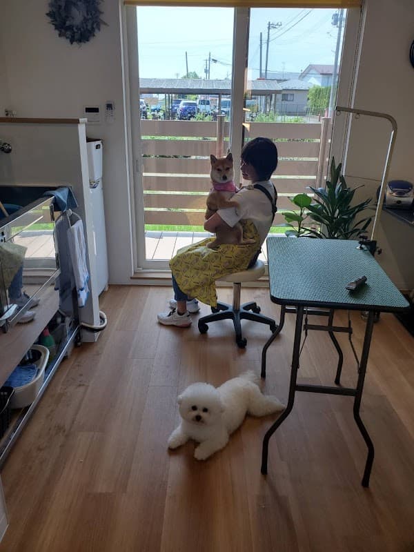 ドッグサロンデアリーの写真5