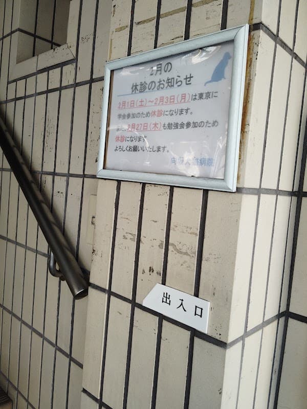向坂犬猫病院の写真