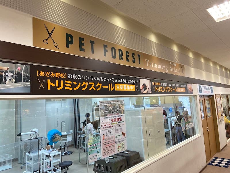 ペットフォレスト トリミングスクールあざみ野校の写真3