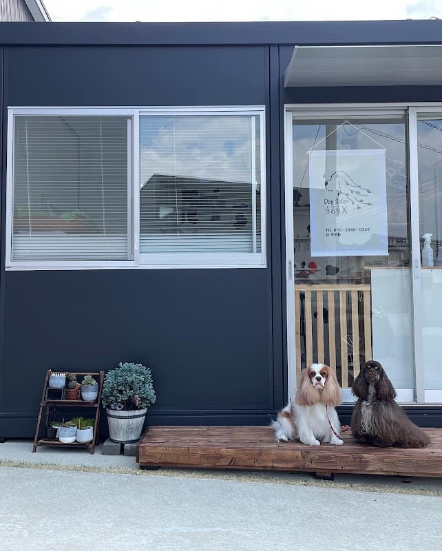 Dog Salon 369の写真