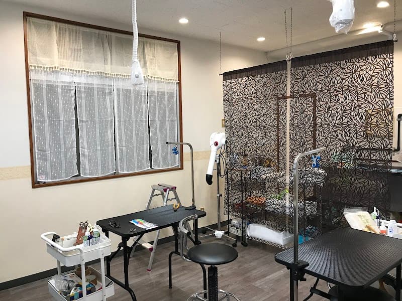 PET CARE SALON HASHIBU(ハーシブ)の写真