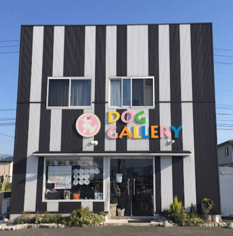 ドッグギャラリーの写真