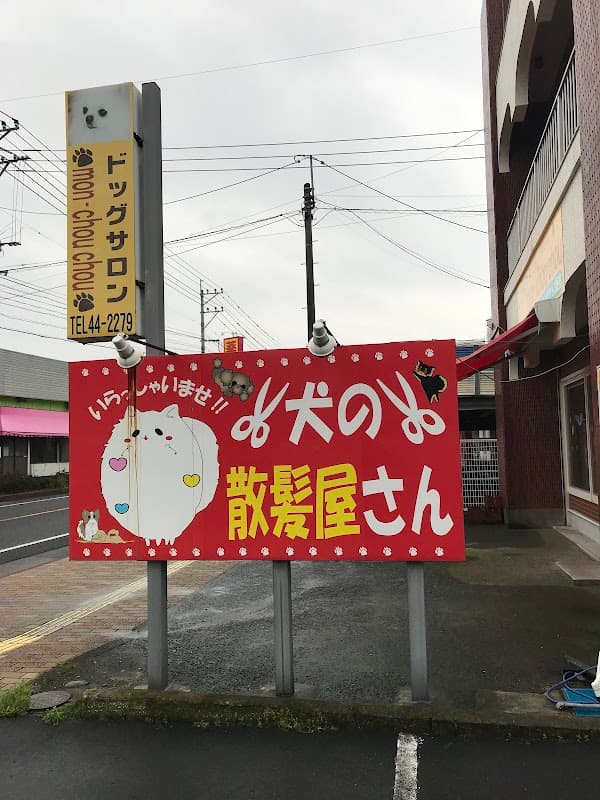 ドッグサロン・モンシュシュの写真5