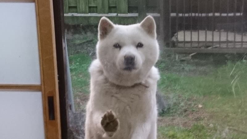 岩代動物病院の写真