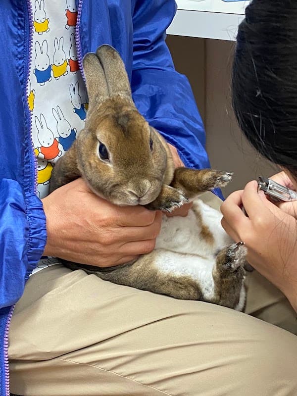 あきペットクリニックの写真