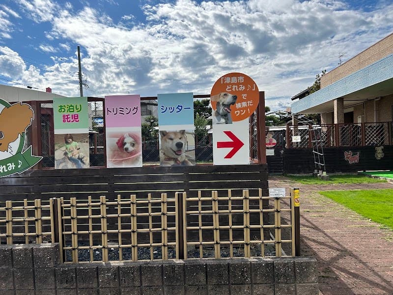 ドックホテルどれみの写真1