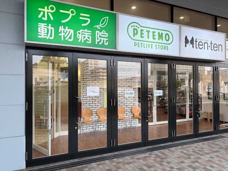 ポプラ動物病院 (皮膚科・耳科外来併設)の写真