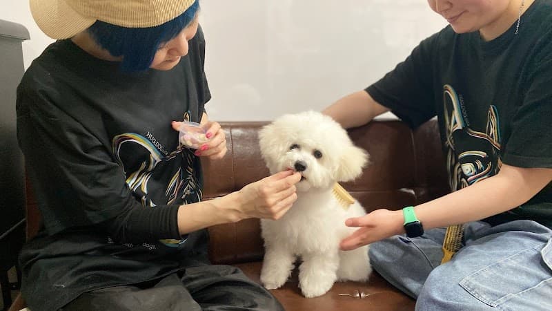 グルーミングサロンHUGDOGの写真1