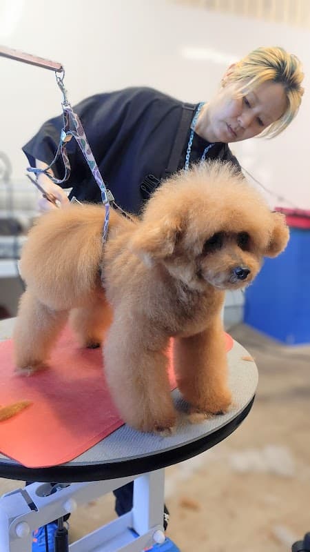 グルーミングサロンHUGDOGの写真5