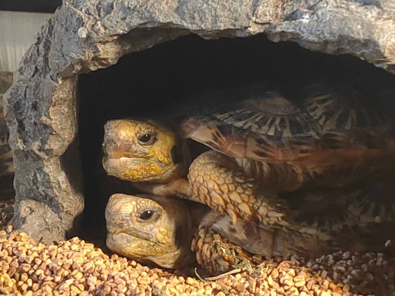 石田動物病院の写真