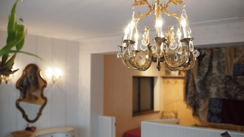 promenons DOG HOTEL + GROOMINGの写真