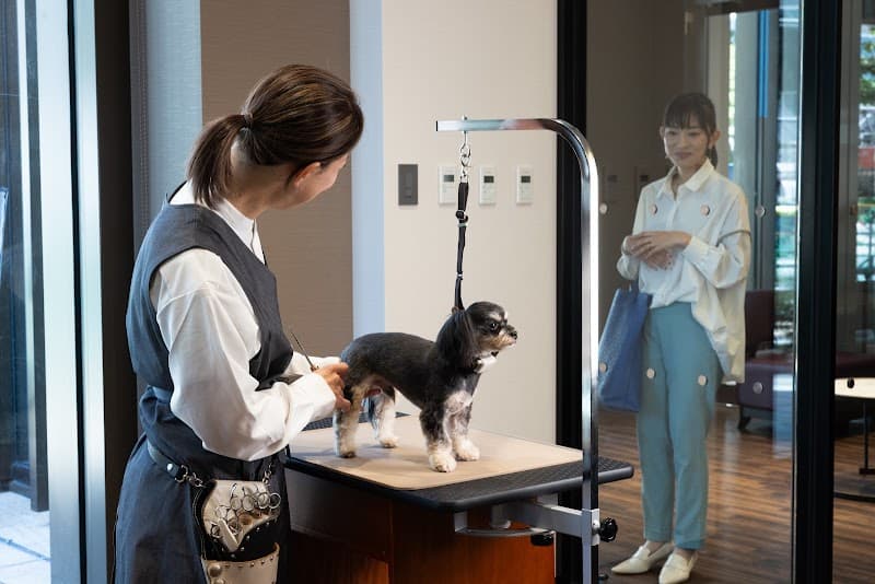 GREEN DOG SALON ILOR 麻布台ヒルズの写真2