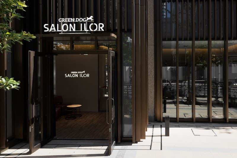 GREEN DOG SALON ILOR 麻布台ヒルズの写真3