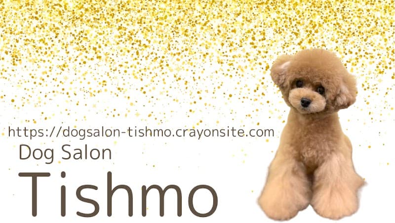 Dog Salon Tishmo(ドッグサロンティシュモ)の写真