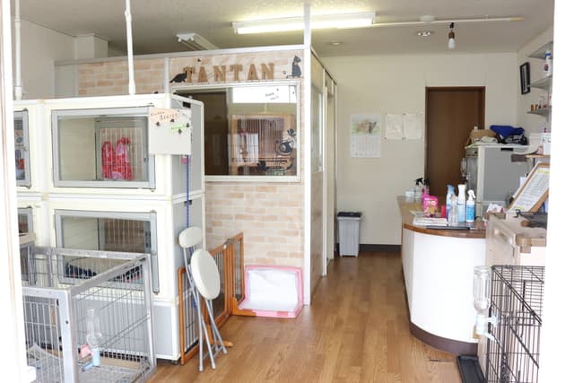 いぬねこの店タンタンの写真
