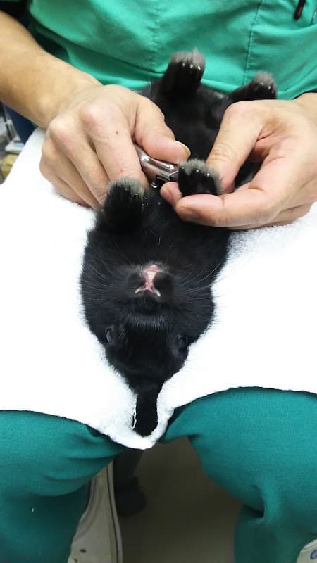 すすきの動物病院の写真