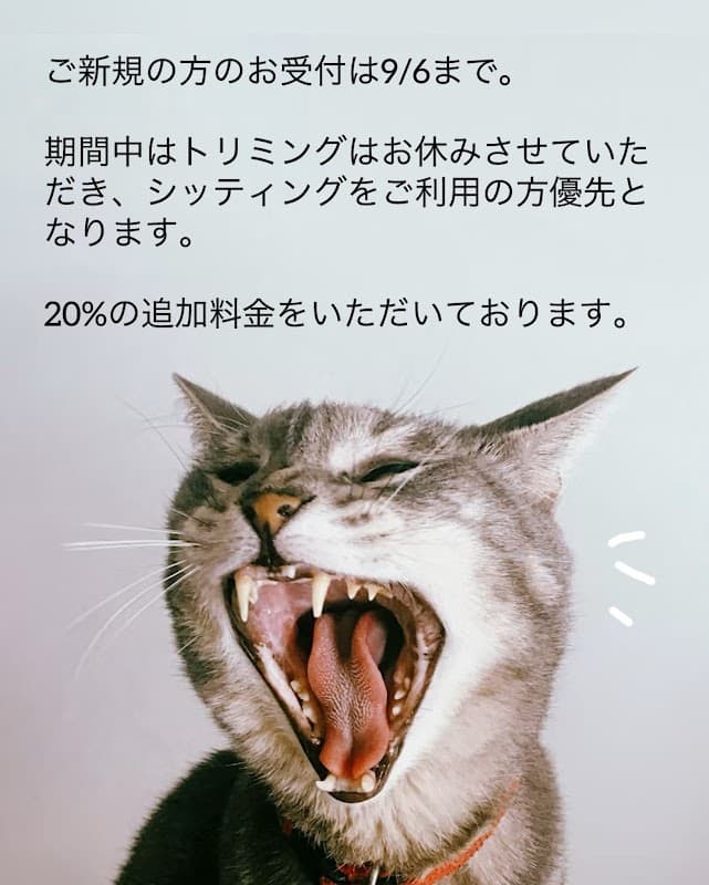 ペット訪問サービスNaoの写真