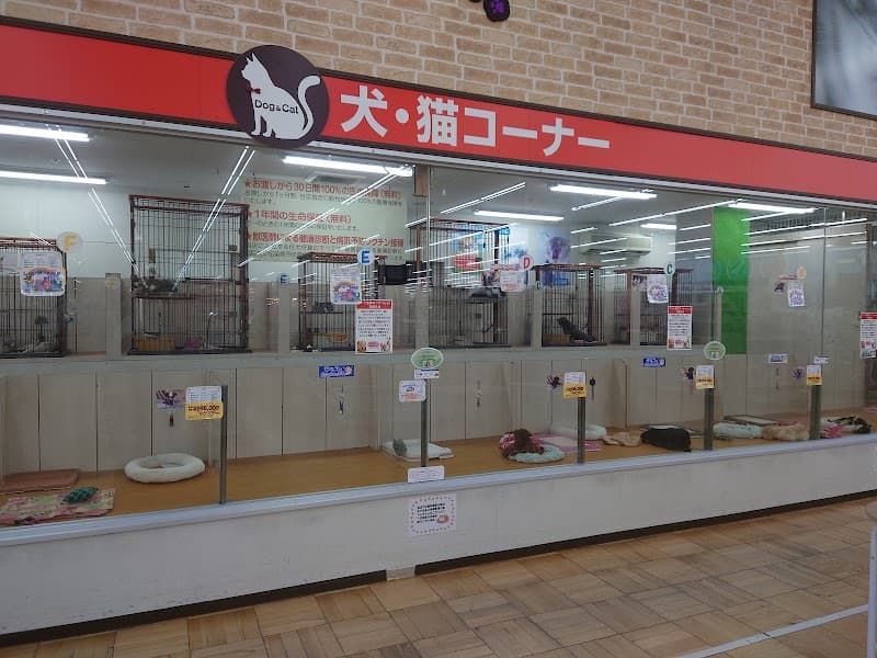パウズフォリオビバペッツ足利堀込店の写真