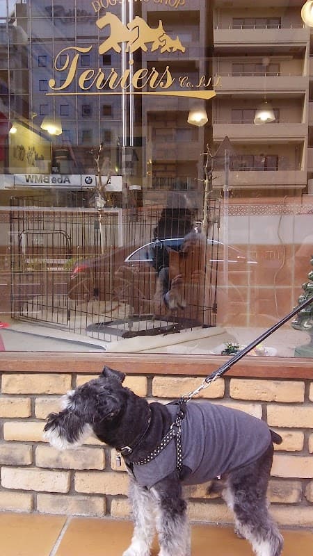DOG's PRO SHOP TERRIER'S(テリアス)麻布店の写真2