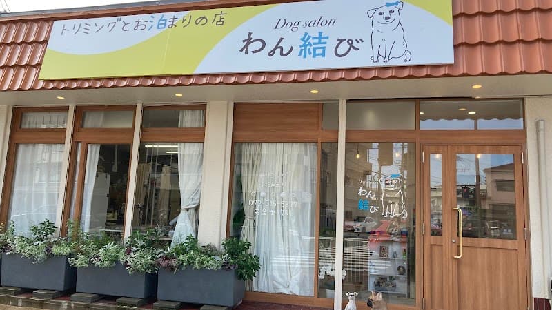 ドッグサロンわん結びの写真