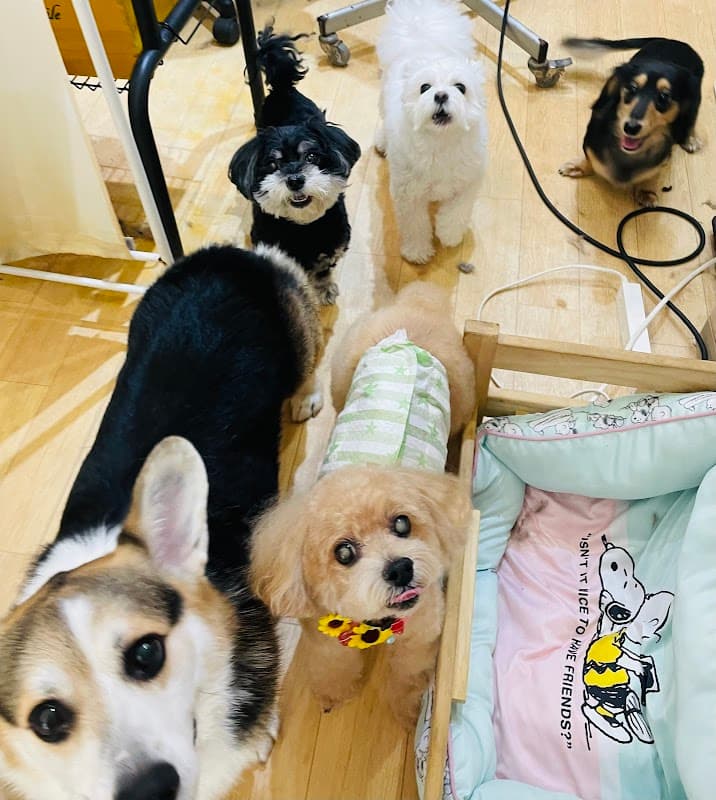 ペットサロンWithの写真