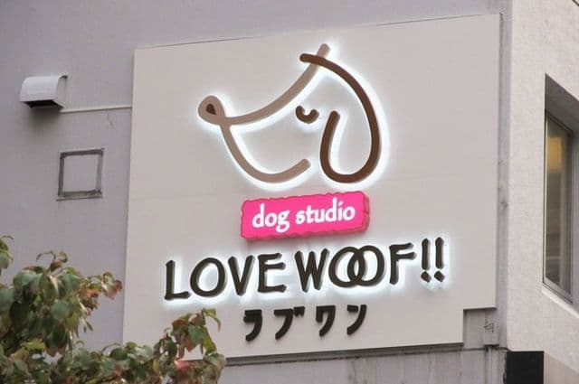 ドッグスタジオ ラブワン!!品川芝浦の写真4