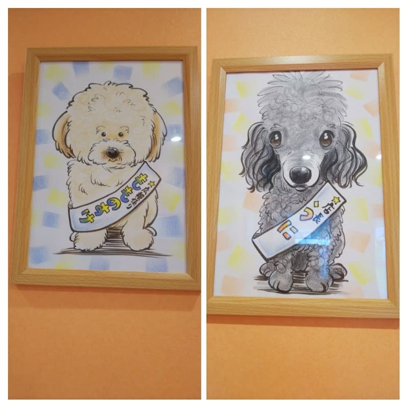 DOG SALON&HOTEL Woo-Nieの写真4