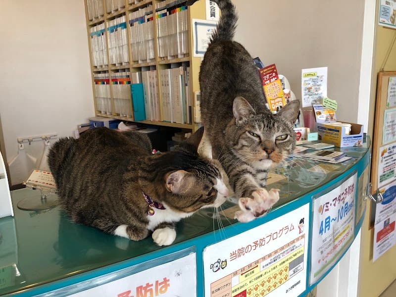 あつき動物病院の写真