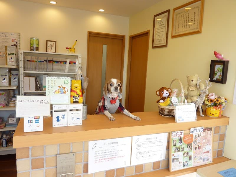 はちみつペットクリニックの写真