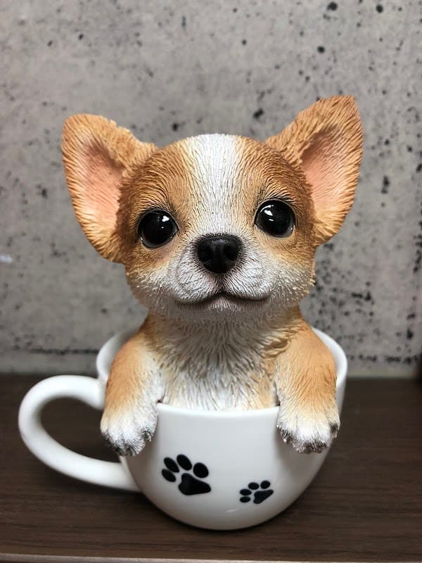 トリミングハウスすたんの写真
