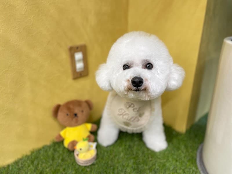 PET HILLS TOKYOの写真2