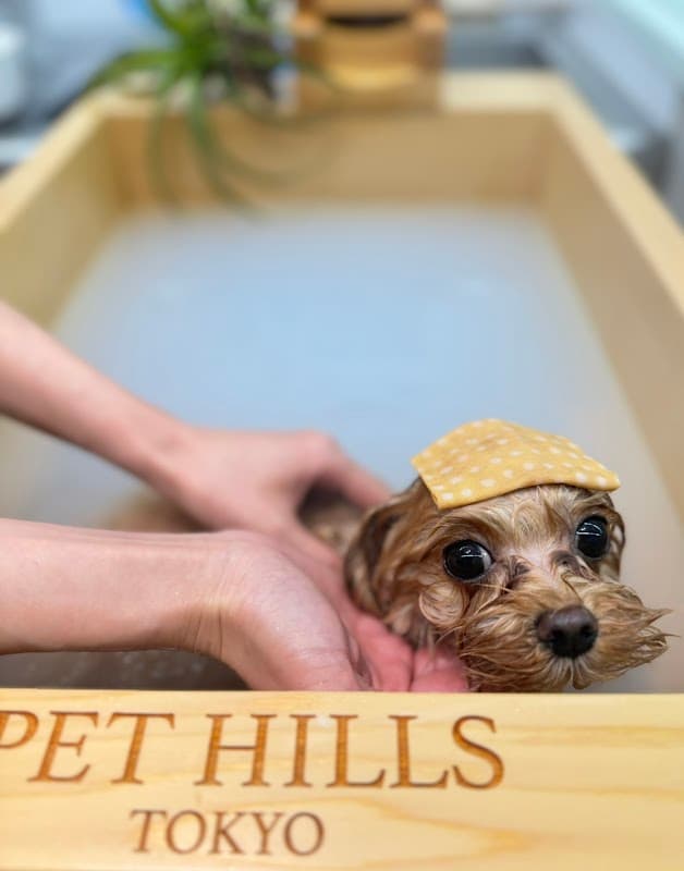 PET HILLS TOKYOの写真3