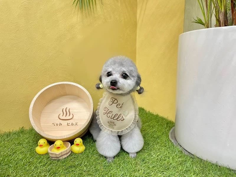 PET HILLS TOKYOの写真5