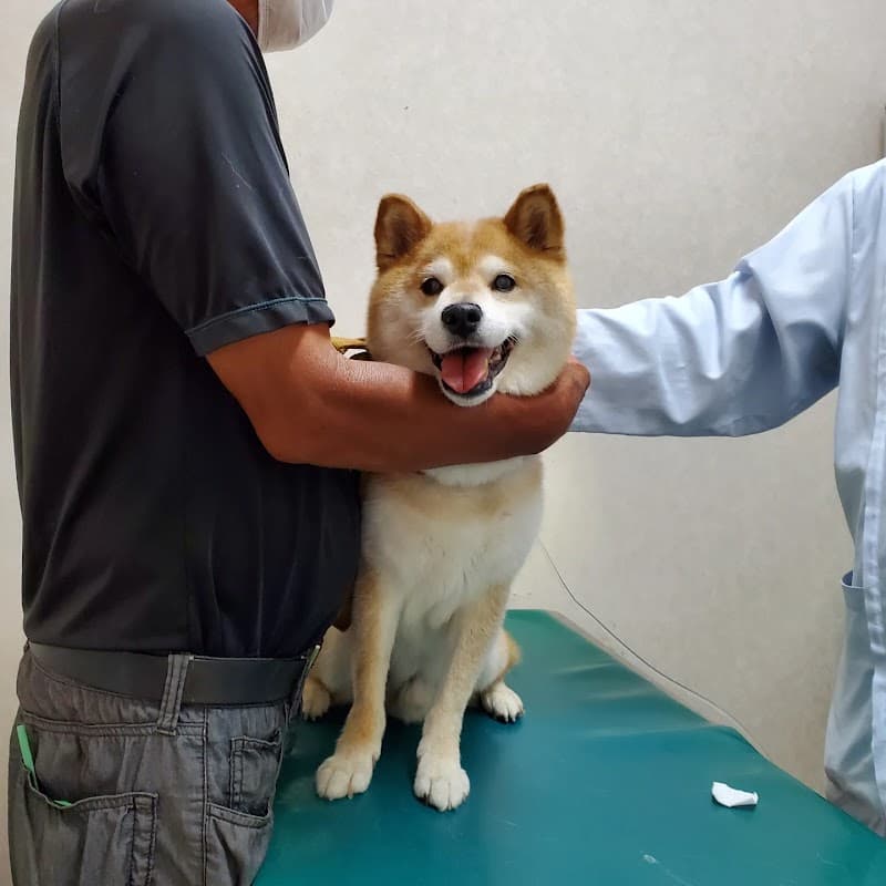 揖保川動物病院の写真