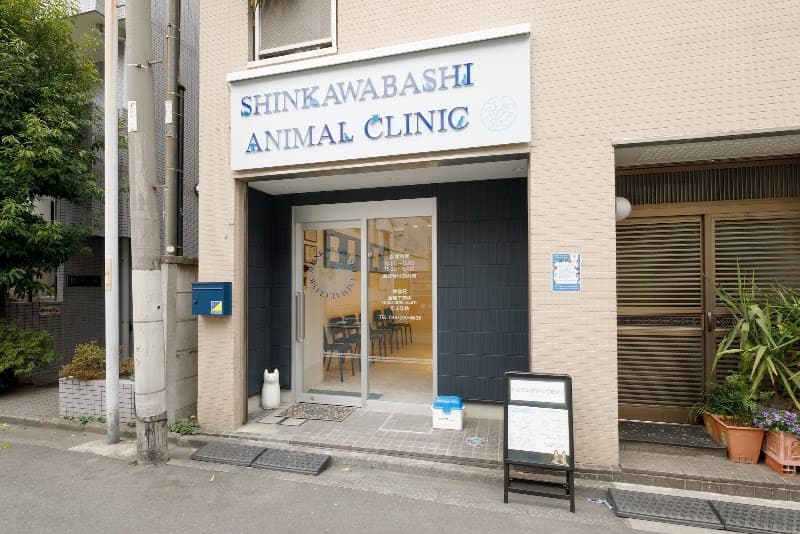SHINKAWABASHI ANIMAL CLINIC 新川橋動物病院の写真