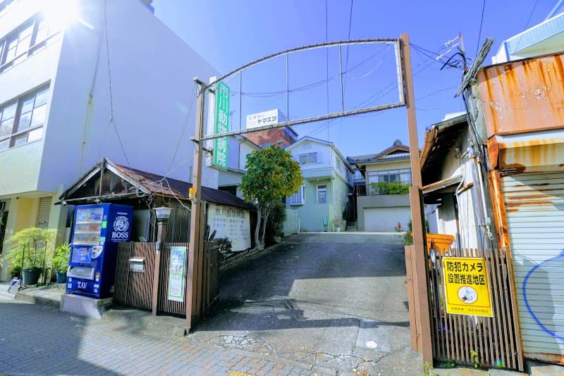 市川動物病院の写真
