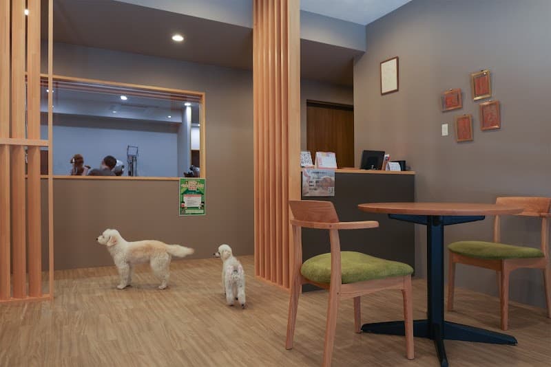 MySalonの写真