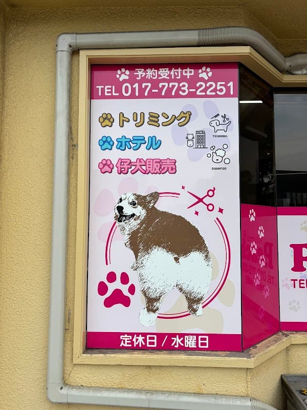 トリミングサロンpeachの写真4