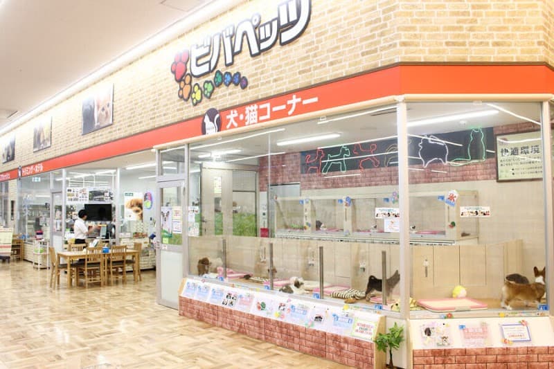 ビバペッツ西川越店トリミングの写真