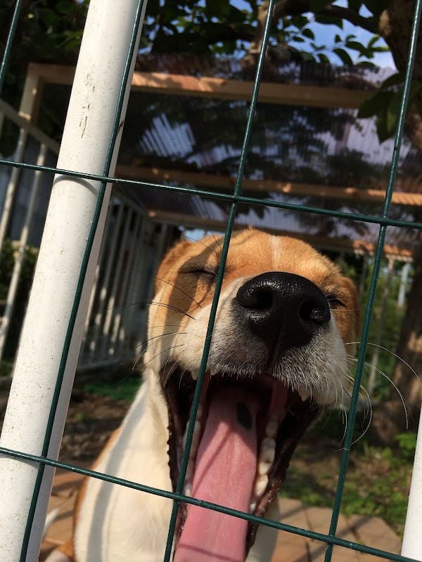 扶容動物病院の写真