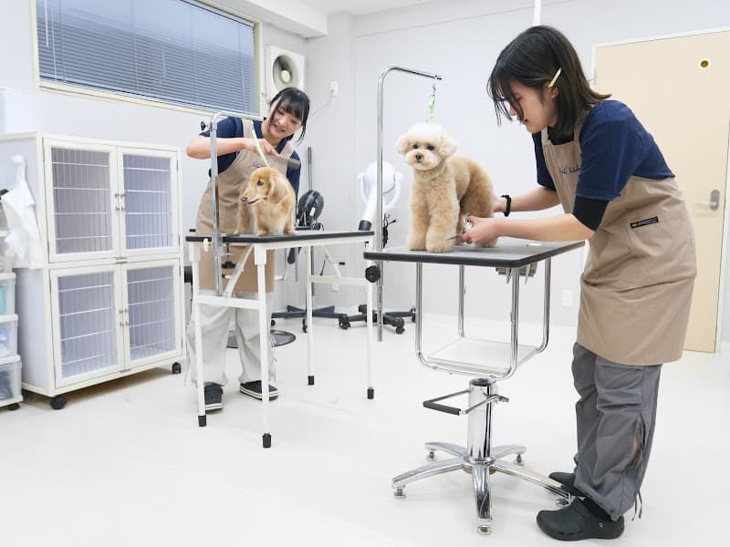Salon de Ichiko(サロンドイチコ)の写真