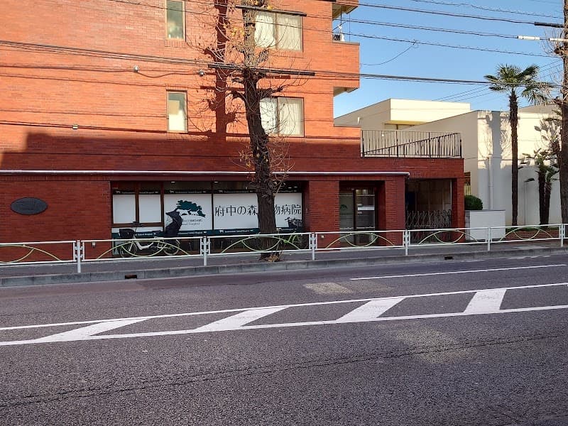 府中の森動物病院の写真